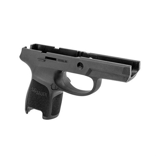 Grip Module Assy, Subcompact, 45, Small